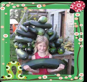 courgettes